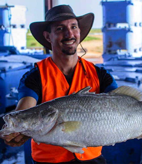 Australian Barramundi Farmers Association