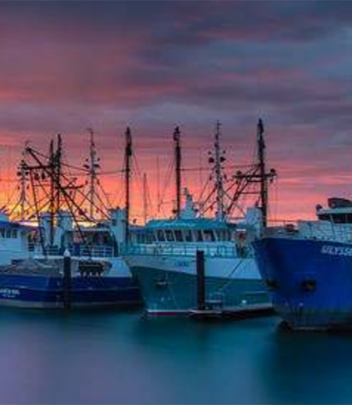 Australian Council of Prawn Fisheries