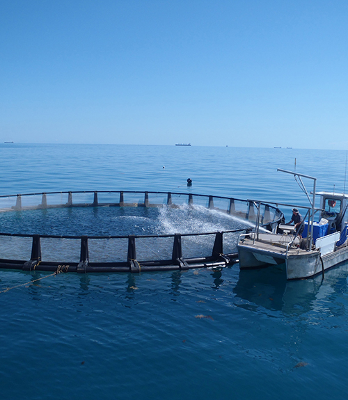 Aquaculture Council of WA