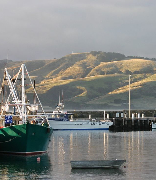 Seafood Industry Victoria	