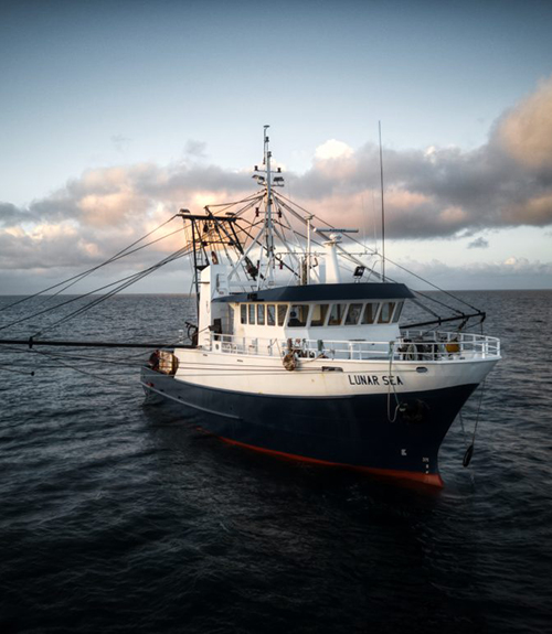 Spencer Gulf & West Coast Prawn Fishermen's Associ	