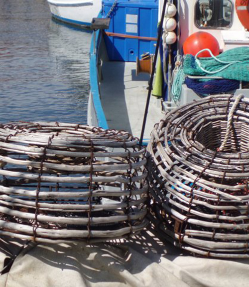 Tasmanian Rock Lobster Fishermens Association	