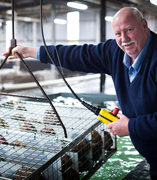 Tasmanian Seafoods	